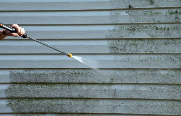 Best Fence Cleaning  in Monmouth, IL